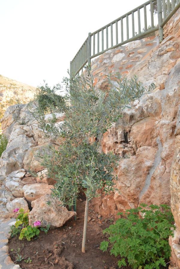 Delfinaki Boutique Apartments Lionas Beach ,Naxos Kültér fotó